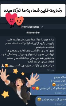 رضایت مهمانان کیش بوم