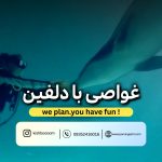 dolphin-dive-experience.jpg