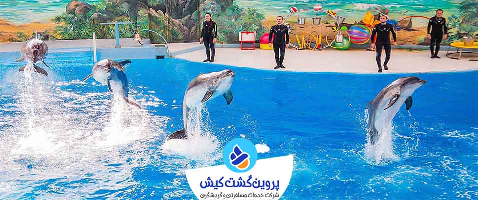 رزرو بلیط پارک دلفین کیش