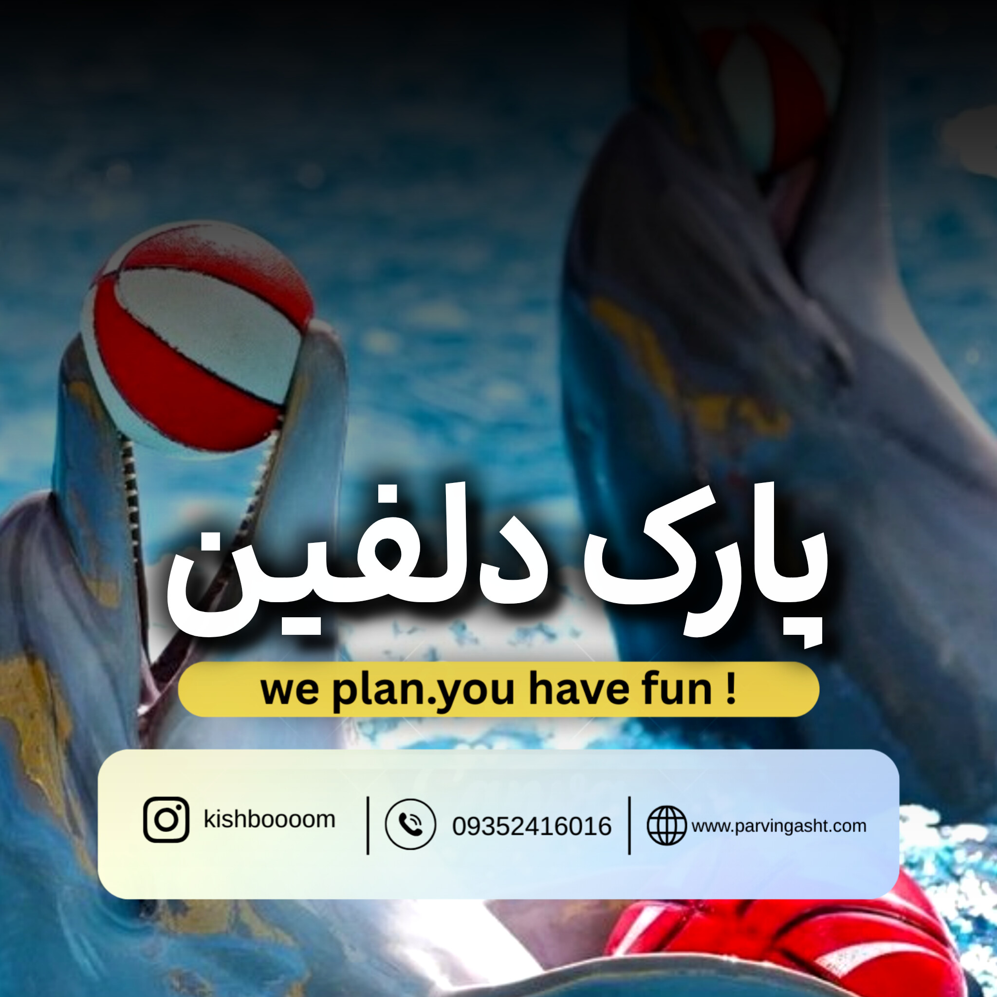 park dolphin خرید بلیط پارک دلفین کیش