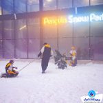 خرید در پارک برفی کیش